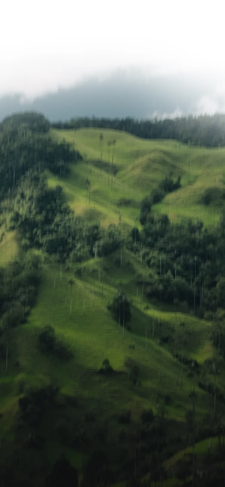 Colombian landscape